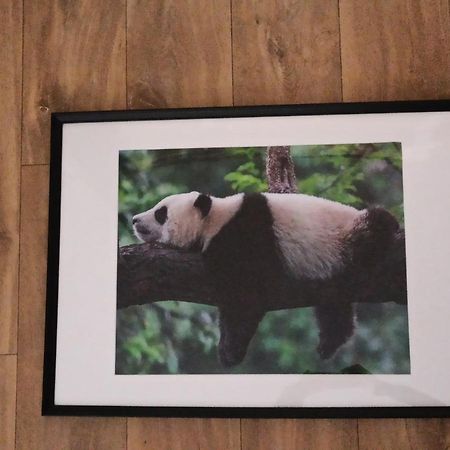 A 4 Min Du Zoo De Beauval La Maison A Partager Ch2 1Er Etage 圣艾尼昂 外观 照片