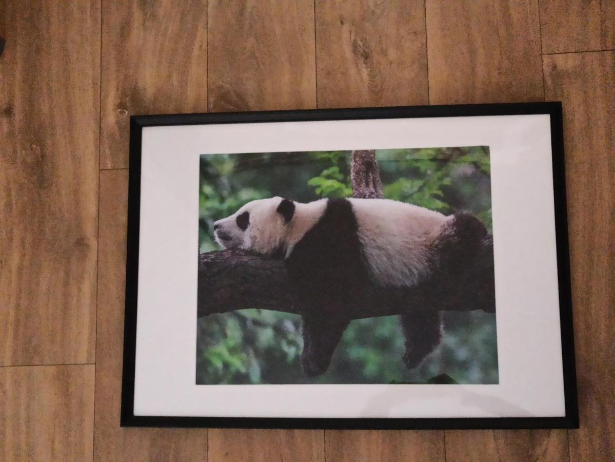 A 4 Min Du Zoo De Beauval La Maison A Partager Ch2 1Er Etage 圣艾尼昂 外观 照片